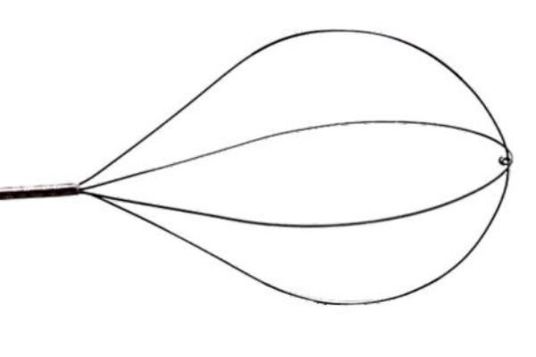 內(nèi)窺鏡取石網(wǎng)籃